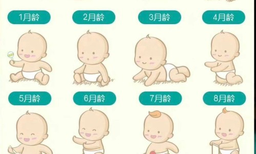 婴儿双腿胫骨皮质增厚网 - 为你提供胫骨内侧骨皮质增厚是 骨髓腔变窄、婴儿双腿胫骨皮质增厚严重吗